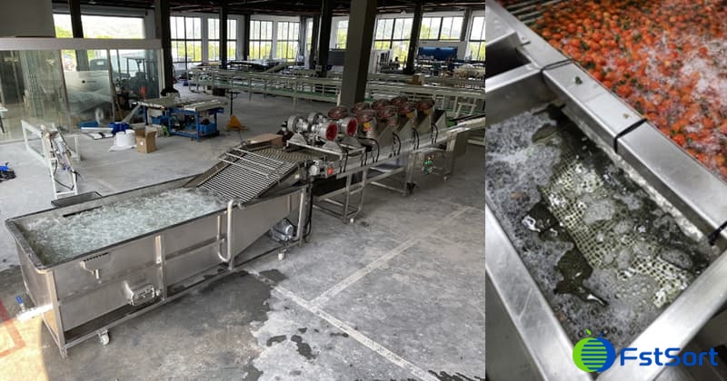 images/1655279508195Clasificadora de tomates.jpg